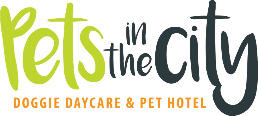 Pets in the City logo