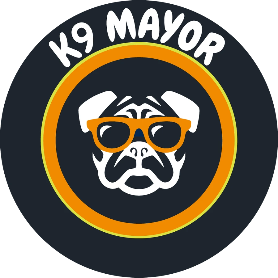 K9 Mayor campaign identity featuring a dog in orange sunglasses