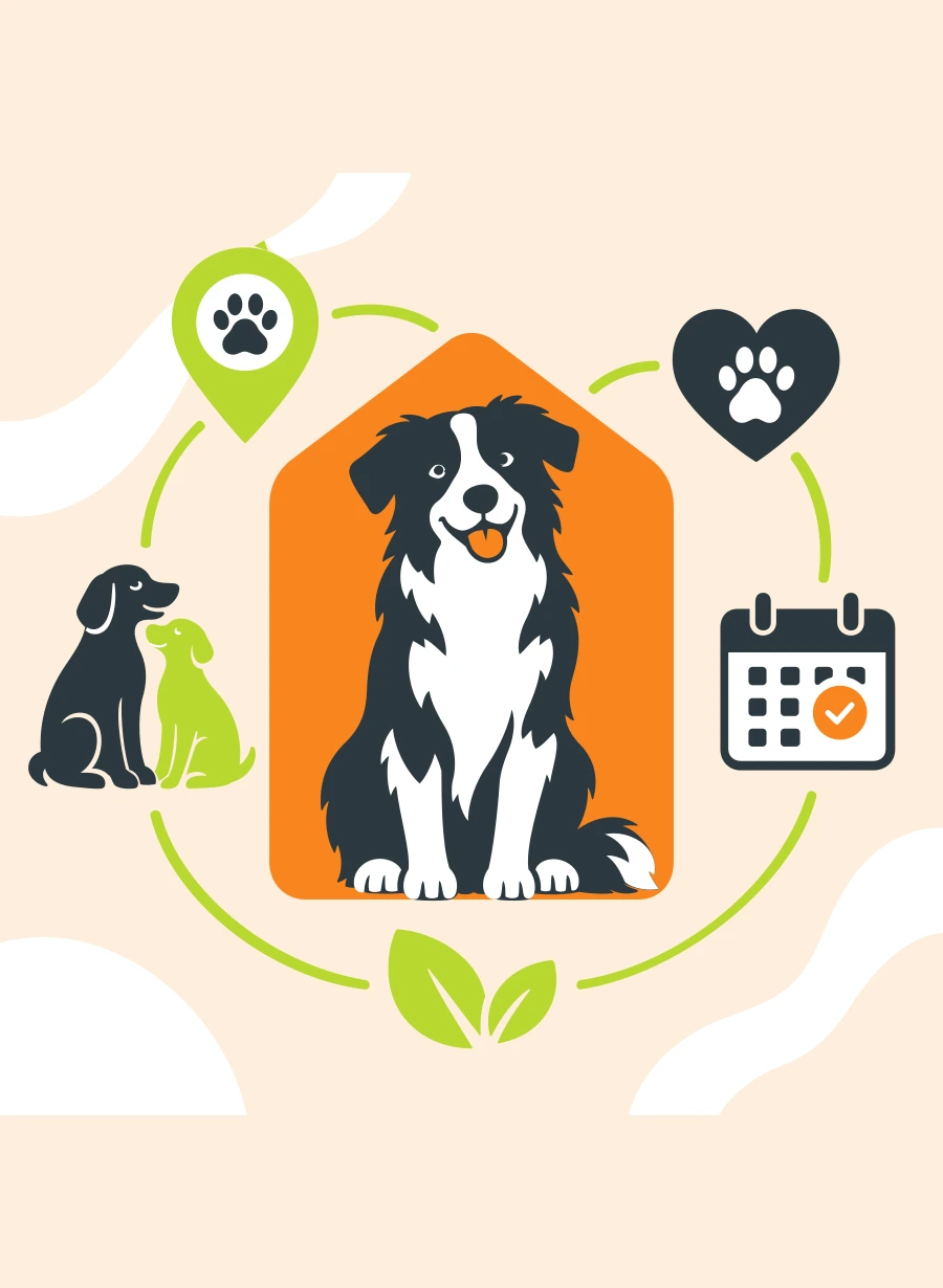 A dog at the heart of a connected pet-care community, surrounded by symbols of care, local services and helpful tools.