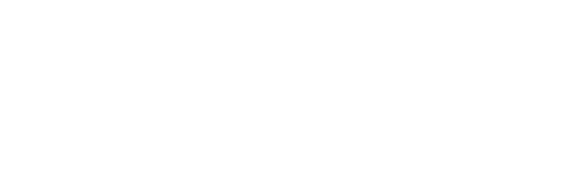 Chase & Marshal - Business Consulting