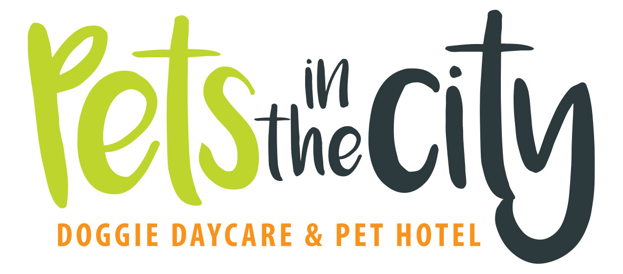 Pets in the City - Doggie Daycare & Pet Hotel