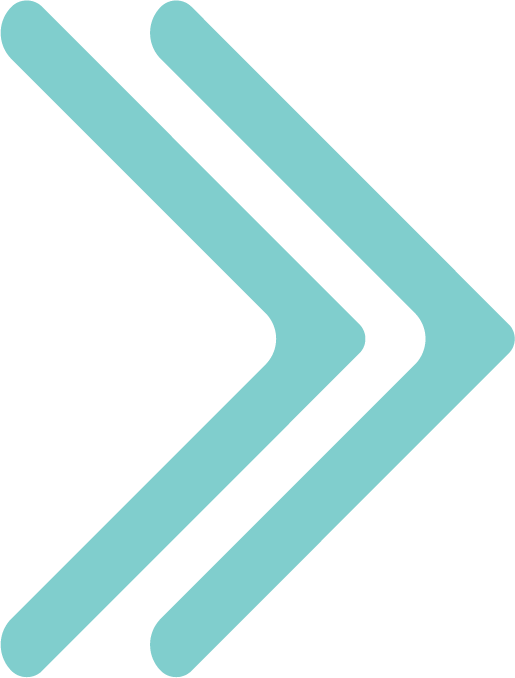 Chase & Marshal teal decorative arrow